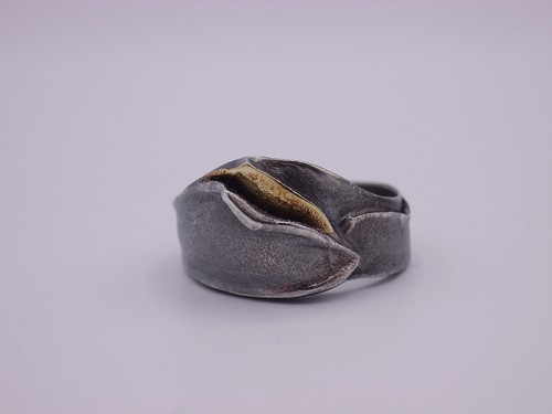 Klasse designer ring - klasse,