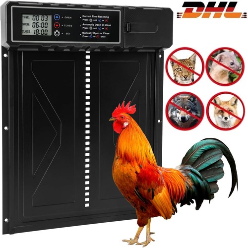 Xxl hühnerklappe elektrisch - xxl,