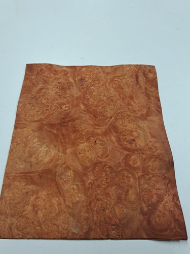 Maser ahorn furnier 1 - ahorn,