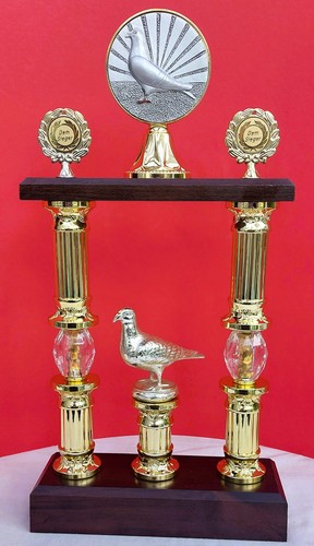 Pokal taube säulenpokal - pokal,