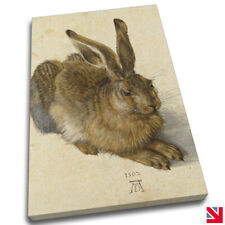 ALBRECHT DÜRER HASE LEINWANDBILD Wandbild Bild Druck