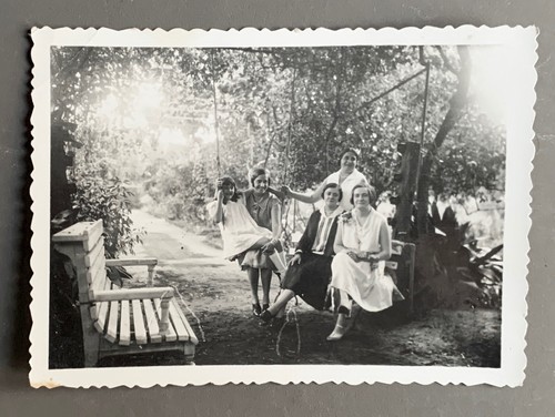 Antique photo arbor green - antique,