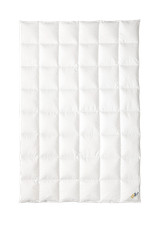 OBB Sommerdaunendecke 135x200