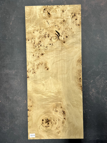 Maser pappel burl - |, top