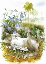 INGE LÖÖK  / POSTKARTE /