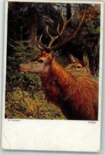 39678013 - sign. Heubach W. Vertraut Hirsch 8-Ender Jagdtier Gebrauchsspuren