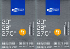 2x Schwalbe DV 19 Schlauch 29