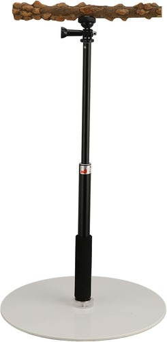 Holz-Vogelstange