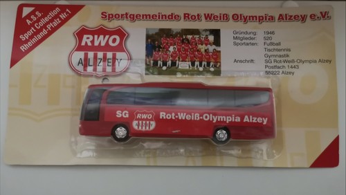 Rwo alzey mannschaftsbus - alzey,