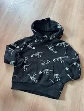Hoodie Pulli Jungen mit Dinos Gr. 98/104 von H&M