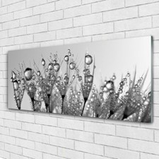 Glasbilder Wandbild Druck auf