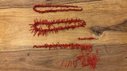 Rote korallenkette - rote,