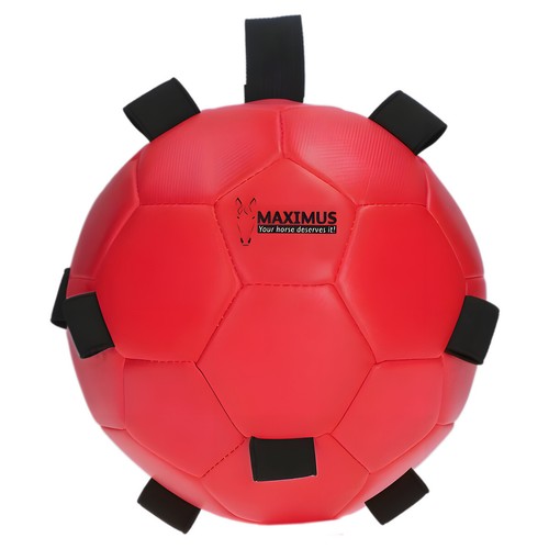 Maximus pferde fun play ball - maximus,