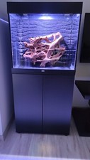 Daytime matrix led system - daytime,