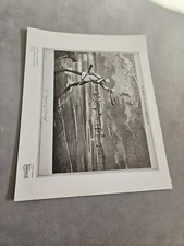 TPEEP350 MAGAZINPLATTE 11X8"