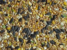 Wildvogelfutter Mix - Standard High Energy Futter 100g 500g 1kg 2kg 5kg 10kg 20kg