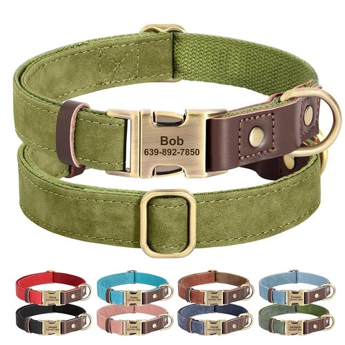 Hundehalsband mit namen - hundehalsband, &