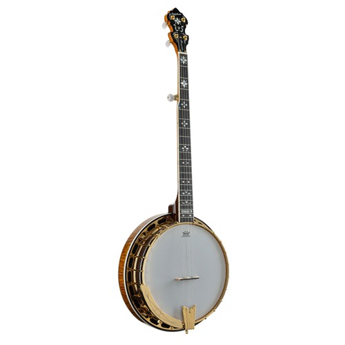 Epiphone earl scruggs - scruggs, golden