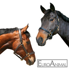 Leder-Halfter Pferdehalfter Fohlenhalfter Pony-Halfter, schwarz oder braun