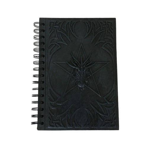 Mysticalls notizbuch drache - mysticalls,