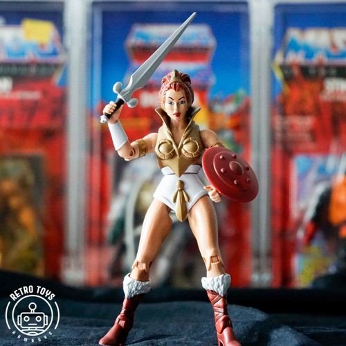 Cartoon teela masters the - cartoon,