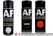 Epoxid Spraydose Set für BMW