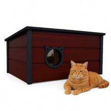 Qls isoliertes katzenhaus - katzenhaus, aus
