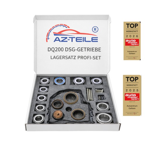Reparaturset dsg getriebe - reparaturset,
