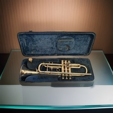 Bb Trompete mit Koffer + Dämpfer – guter Zustand – ideal für Einsteiger