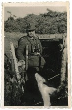 Orig. Foto Feldwebel m