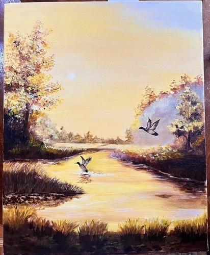 Enten auf dem see - enten,