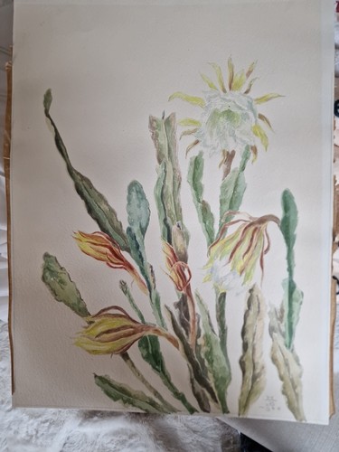 Original kaktus kunstwerk - original,