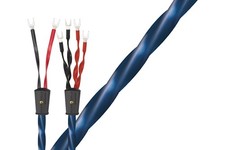 Wireworld Oasis 10 Bi-Wire