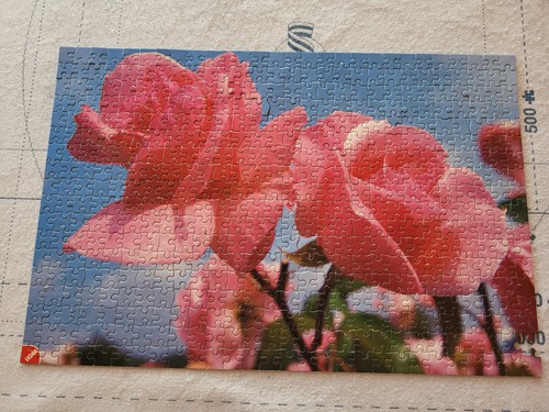 Riesenpuzzle sortiment 500 - riesenpuzzle-sortiment,