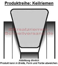 Keilriemen crosstrainer - keilriemen, f.