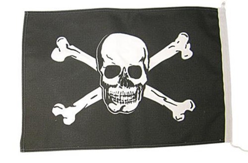 Flagge 45 cm - 30,