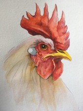 Aquarell vogel hahn huhn - aquarell,
