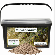 Olivenbaum Dünger mit