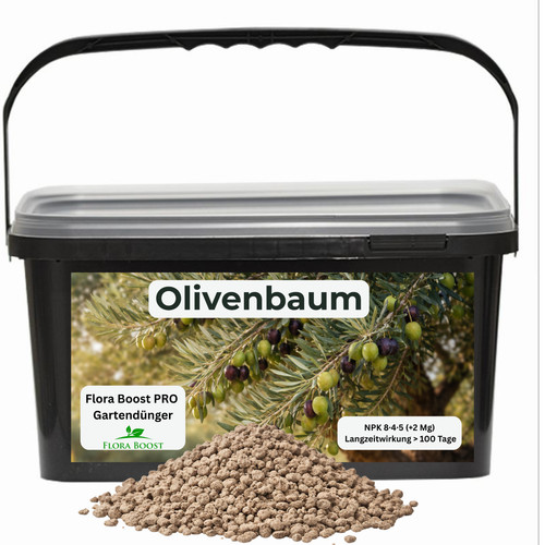 Olivenbaum dünger mit - olivenbaum,