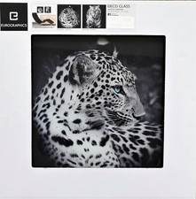 Eurographics Glasbild 30x30cm