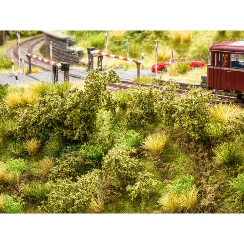 Noch 23102 bahndammbewuchs - noch,
