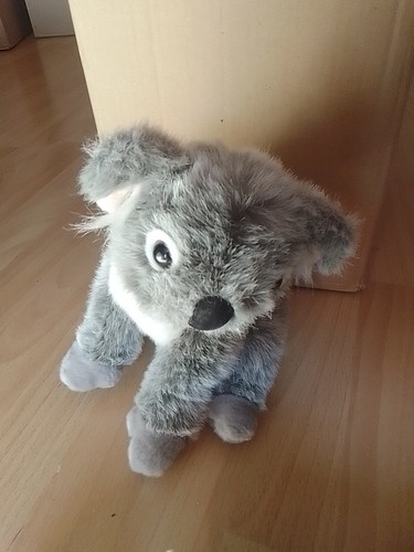 Koala plüschtier kuscheltier - plüschtier,