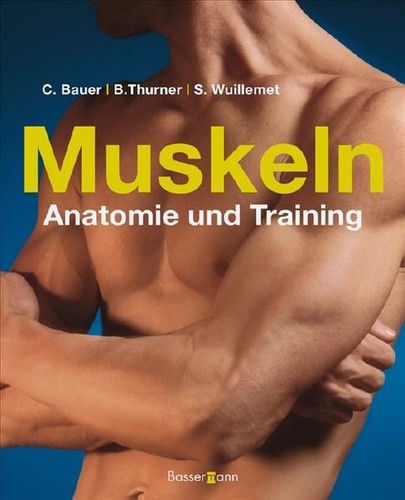 Muskeln anatomie training - &,