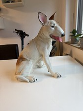Gartenfigur hund bullterrier - gartenfigur,
