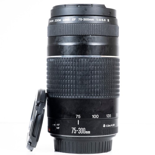 Canon 300mm 5 6 - f/4.0-5.6, iii