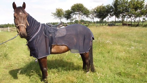 Busse ausreitdecke moskito - ausreitdecke,