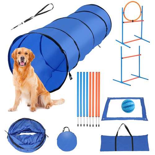 Hunde agility hundesport move - agility,