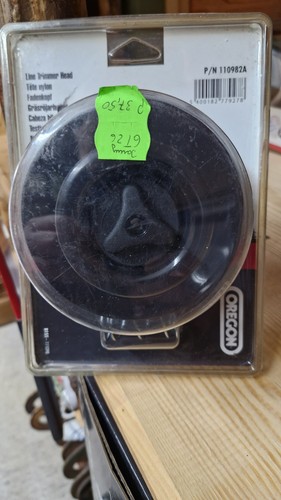 Fadenkopf von oregon auch - fadenkopf,
