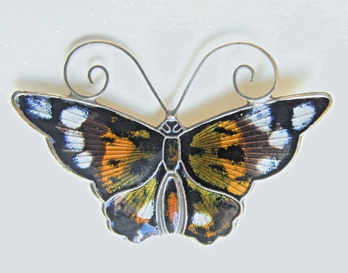 Brosche schmetterling 925er - brosche,