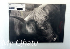 IKEA BILD Poster Animal Horse